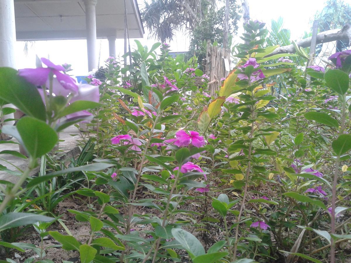 Pandan Beach Homestay Kampong Pandan Exterior foto